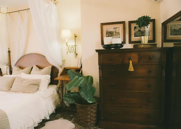 Bright Apartment In The City Center